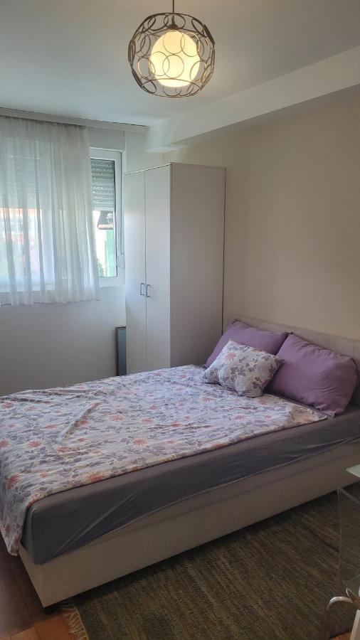 Stan Na Dan Loznica Apartment Ngoại thất bức ảnh